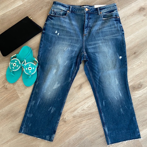 LOFT Denim - LOFT Women’s Curvy High Waist Straight Crop Jeans